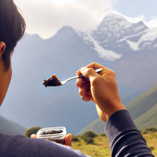 Comment prendre du shilajit