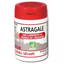 Astragale BIO 60 gélules végétales - Paris Herbabarona Paris Herba Barona
