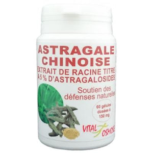 Astragale extrait titré à 5% d'Astragalosides - PARIS
