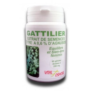 Gattilier extrait 250 mg  titré à 0,6 % d' agnuside 60 gélules