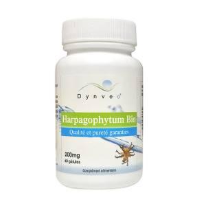 Harpagophytum à PARIS  à 80 MG d'harpagocides par gélules - DYNVEO
