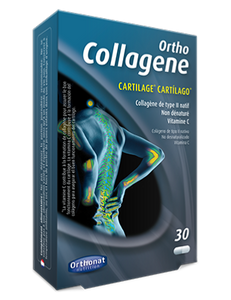 Collagene Type 2 natif 30 gélules - Paris
