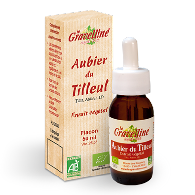 Aubier de tilleul sauvage du Roussillon en Macérat mère
