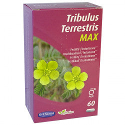 TRIBULUS TERRESTRIS 650 à PARIS - ORTHONAT
